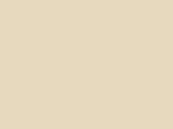 Lamellenfarbe RAL 1015 Lamellenfarbe RAL 1015