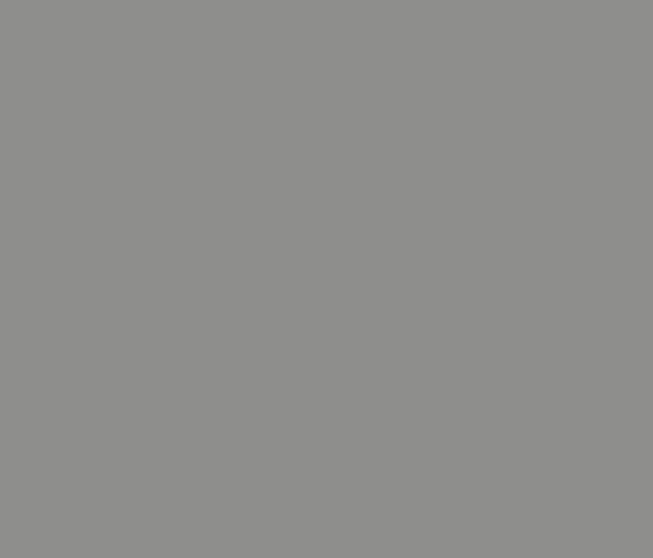 Lamellenfarbe RAL 9007 Lamellenfarbe RAL 9007